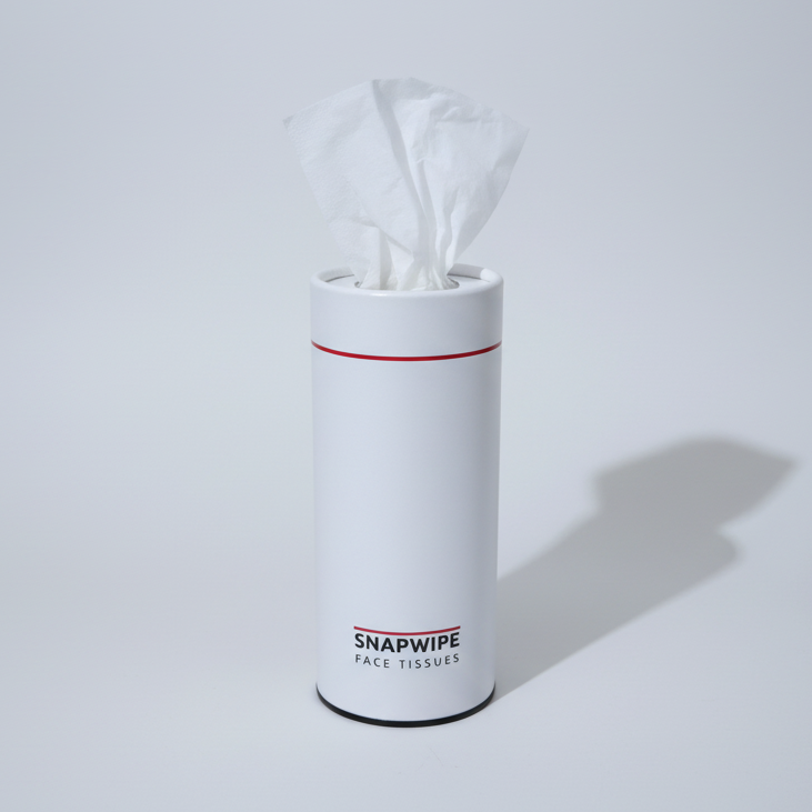 Snapwipe Arctic White Kit – Car Tissue Kit (4 Refills Included)